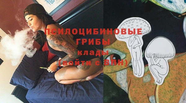 бошки Аркадак