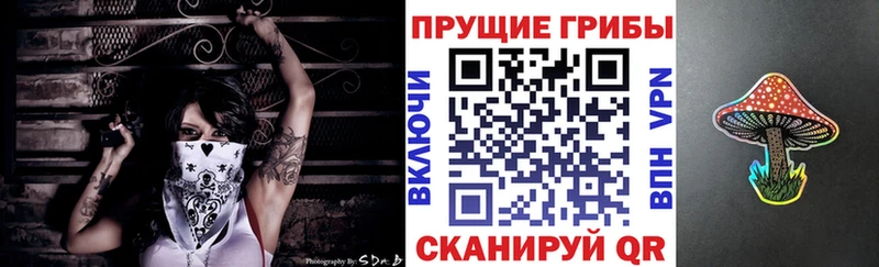Псилоцибиновые грибы ЛСД  продажа наркотиков  кракен ССЫЛКА  Краснозаводск 